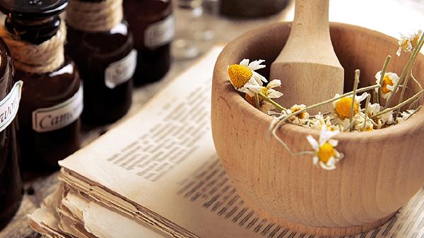 菊花蜂蜜茶小儿能喝吗一天几次(图2)