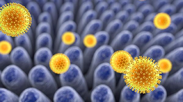 cea癌胚抗原是什么意思?(图2)