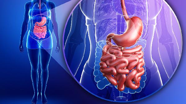 十二指肠憩室是什么意思?(图3) 十二指肠憩室是什么意思?(图3)