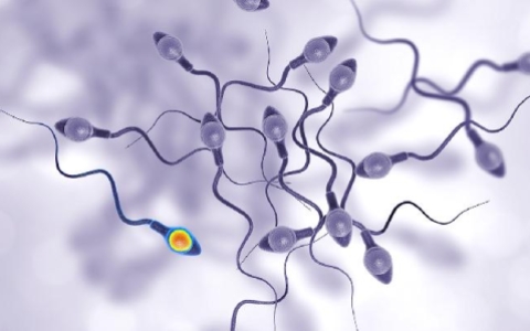 男科检查精子报告需要多久