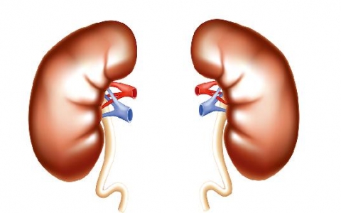 脓肾术后感染怎么治疗