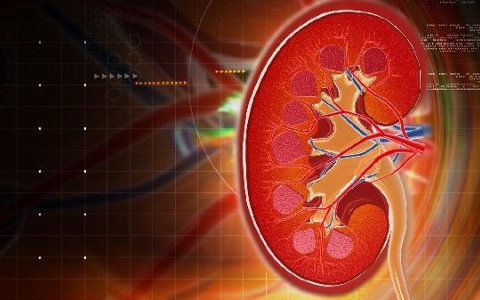 肾湿是什么原因造成的