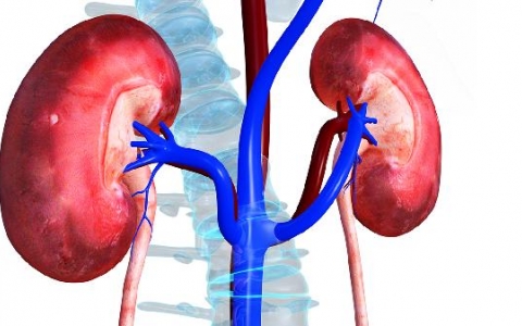 肾寒是什么原因引起的