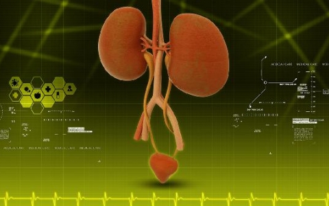 左边的肾偶尔疼一下是怎么回事