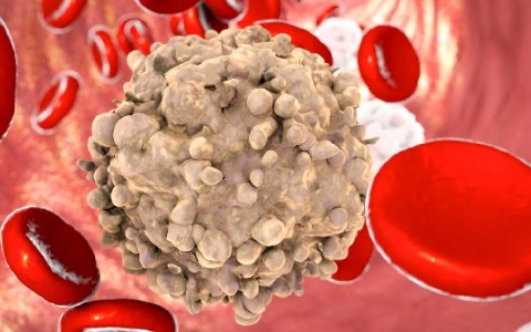 怎么提高白细胞中性细胞