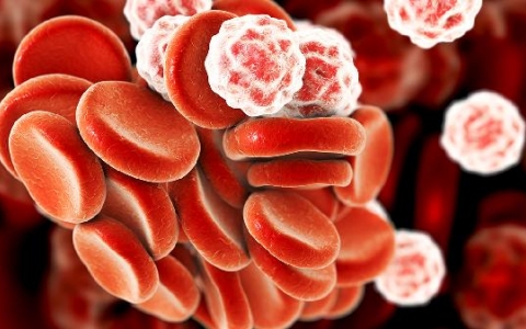 长期吃安定会影响白细胞吗