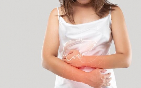 肝在左边还是右边