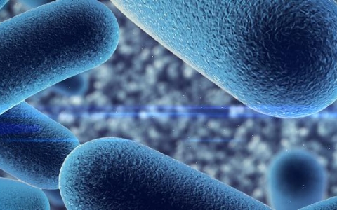 肝损害是什么意思