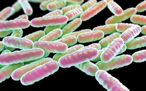 40岁以后强直炎会发病吗