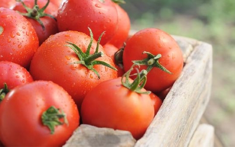 患有强直应该怎么保养呢