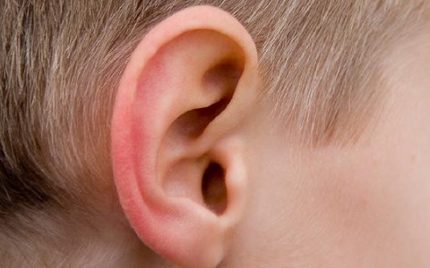 迷路炎是什么原因引起的？