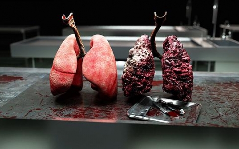 肺结节八个月随访一次