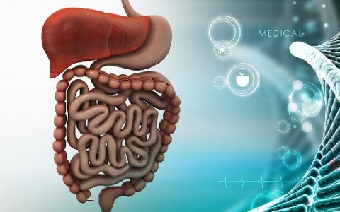 胃腺体中度萎缩怎么办