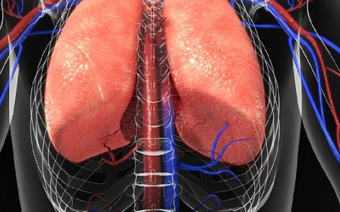 肺结节b级恶性严重吗