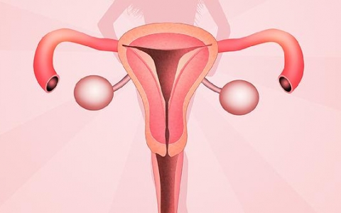 子宫2009年已切除为什么还显示子宫