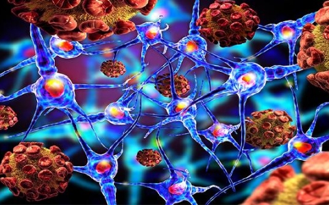 21岁尿床是什么原因