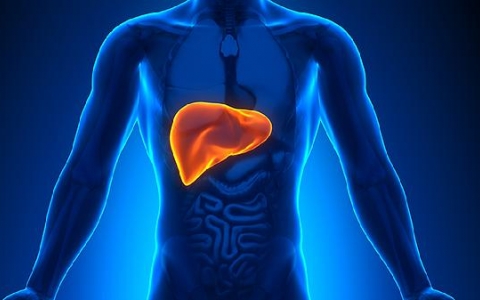 肝内钙化灶4mm是什么意思？需要治疗吗