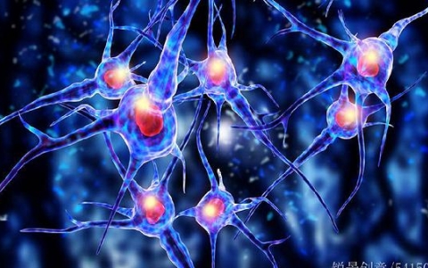 一年内感染hpv病毒