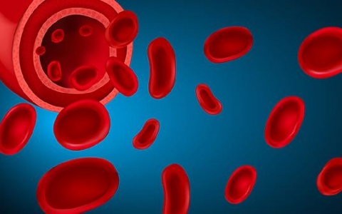 溶血是什么意思严重吗？该怎么治疗