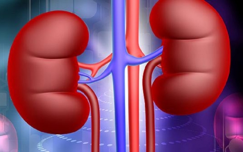 肾上结节需要做手术吗