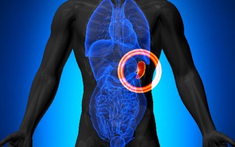 脾大 脾功能亢进