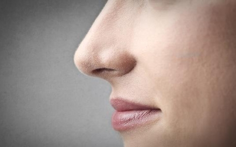 过敏性鼻炎涂抹什么好