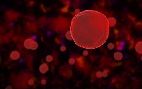 脾功能亢进时为什么会出现三系减少