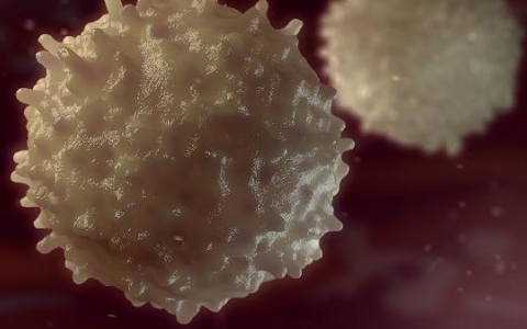 脾功能亢进怎么查出