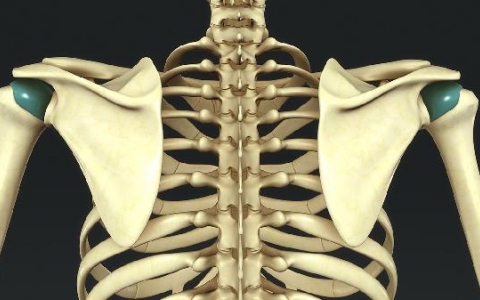 一般得了强直会哪里疼