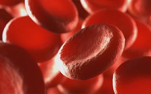 导致脾功能亢进的原因