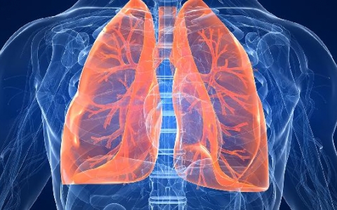 尘肺可以吃豆腐吗