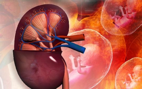 肾上腺增生要动手术吗