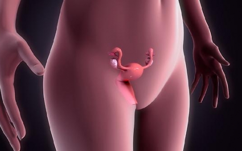 多囊卵巢该怎么调理