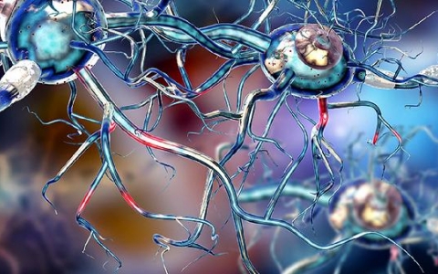 神经性头疼可以吃