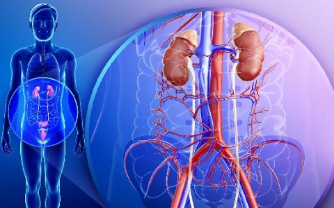 肾盂输尿管反流严重吗