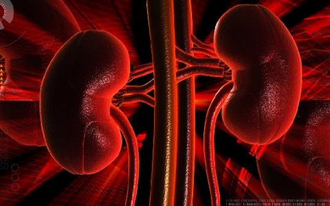 肾上腺结节能治好吗