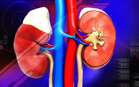 肾结节是什么原因造成的怎么治疗