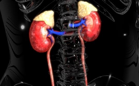 肾上腺结节是什么原因导致的