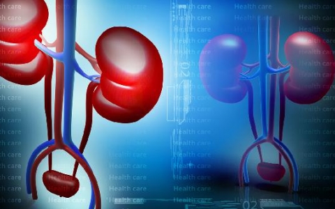 肾上面长结节是什么