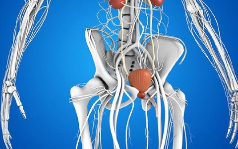 肾上腺结节怎么造成的