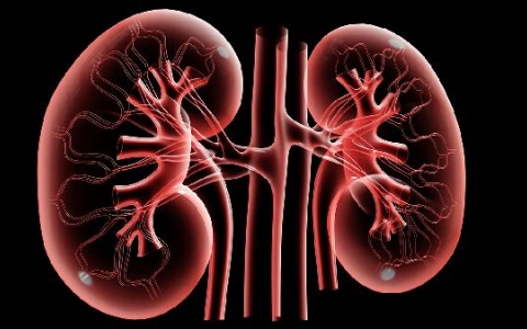 肾上腺增大是怎么回事