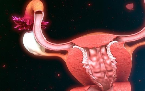 宫颈白斑会自己消失吗