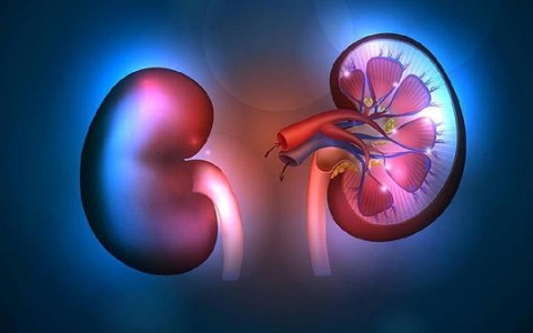 肾上腺结节是怎么回事严重吗