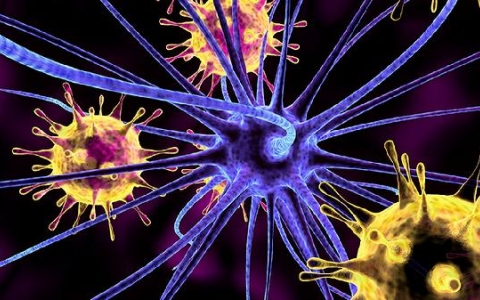 病毒性肺结节吃什么药