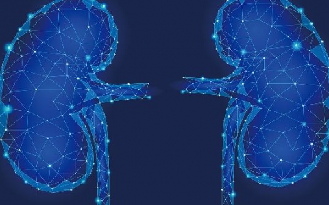 肾上腺怎么造成的