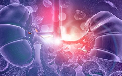 双肾萎缩还有救吗