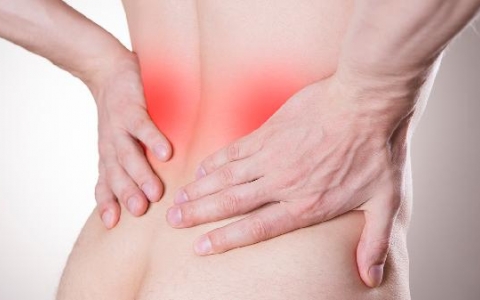 脾受损了怎么办恢复快