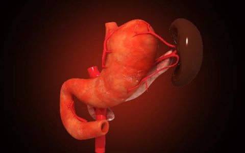 脾大轻度是怎么回事