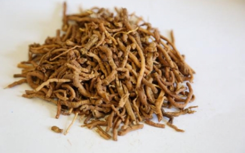 吃药导致血小板低怎样能恢复过来