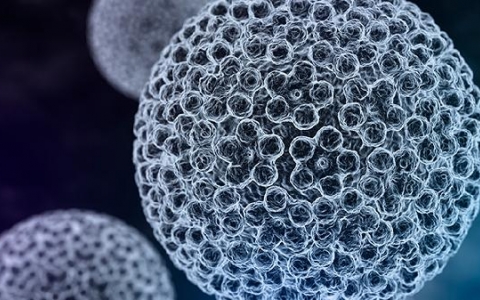 肠型胃腺癌属于什么癌症